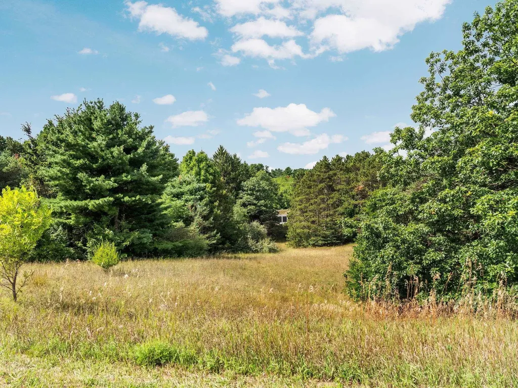 Lots 1 & 3 E Bingham Valley Drive Bingham Township MI 49684
