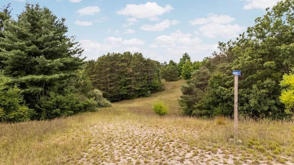 Lots 1 & 3 E Bingham Valley Drive Bingham Township MI 49684