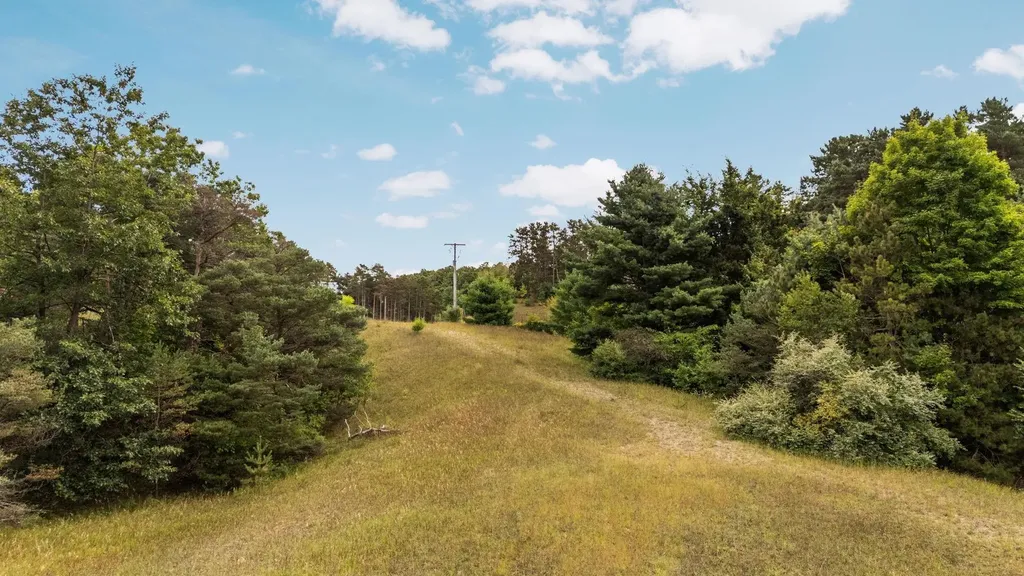 Lots 1 & 3 E Bingham Valley Drive Bingham Township MI 49684