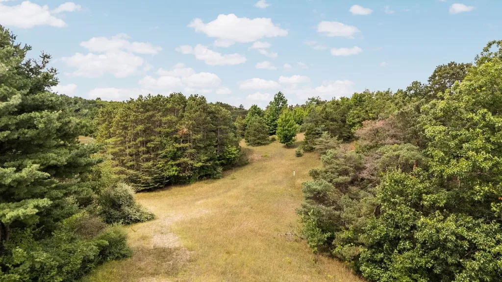 Lots 1 & 3 E Bingham Valley Drive Bingham Township MI 49684