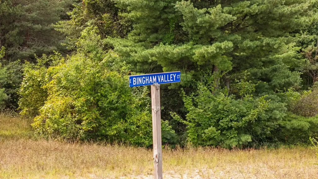 Lots 1 & 3 E Bingham Valley Drive Bingham Township MI 49684
