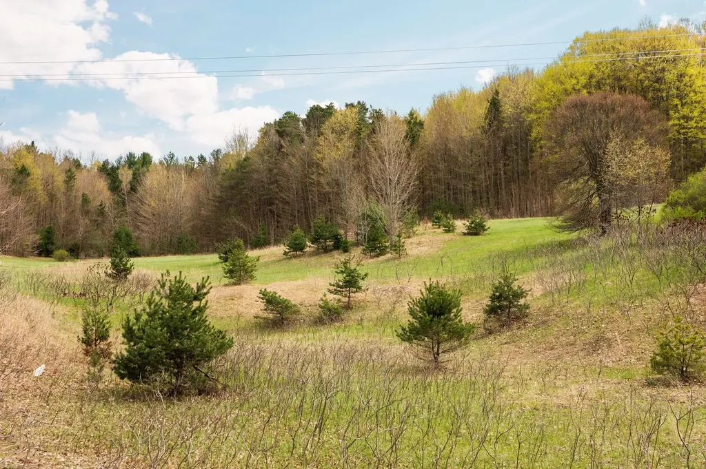 42 Farm Lane East Bay Township MI 49696