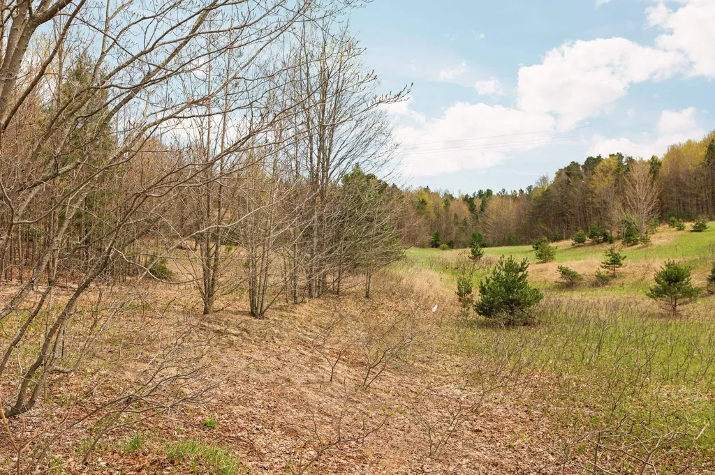 42 Farm Lane East Bay Township MI 49696