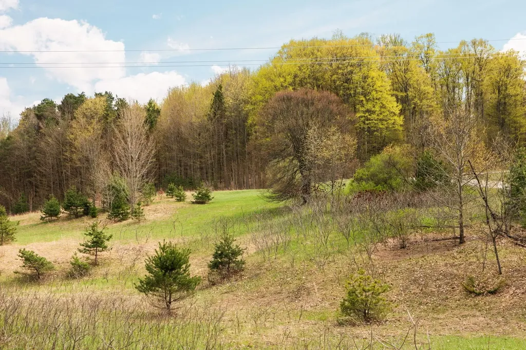 42 Farm Lane East Bay Township MI 49696