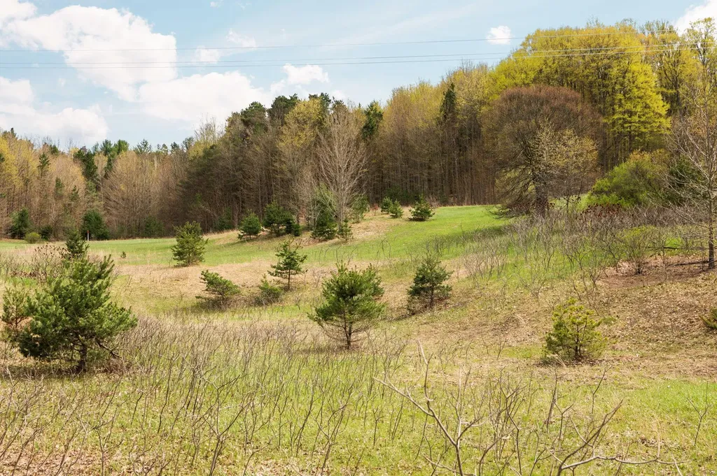 42 Farm Lane East Bay Township MI 49696
