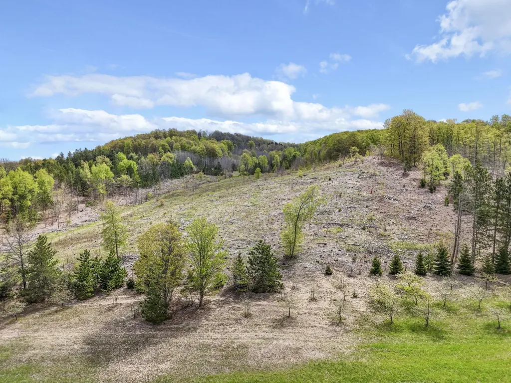 3300 Old M-37 Springville Township MI 49668