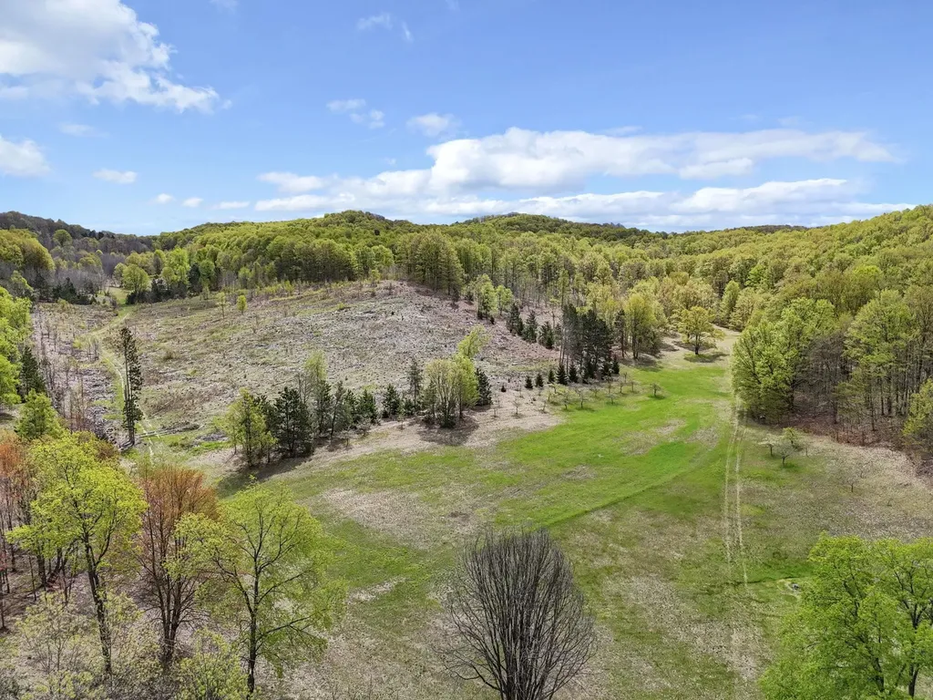 3300 Old M-37 Springville Township MI 49668