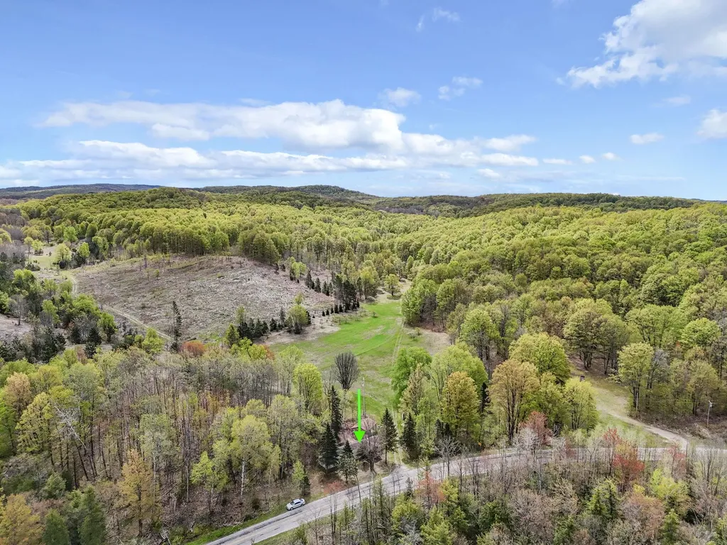 3300 Old M-37 Springville Township MI 49668