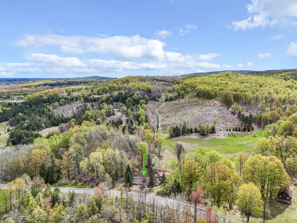 3300 Old M-37 Springville Township MI 49668