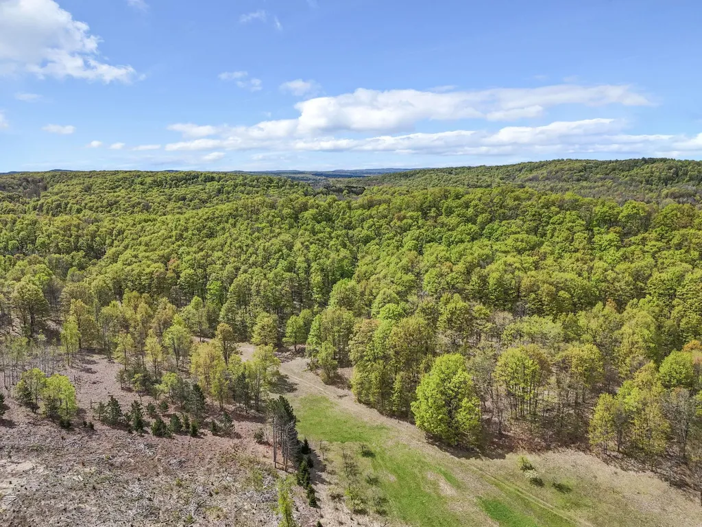 3300 Old M-37 Springville Township MI 49668