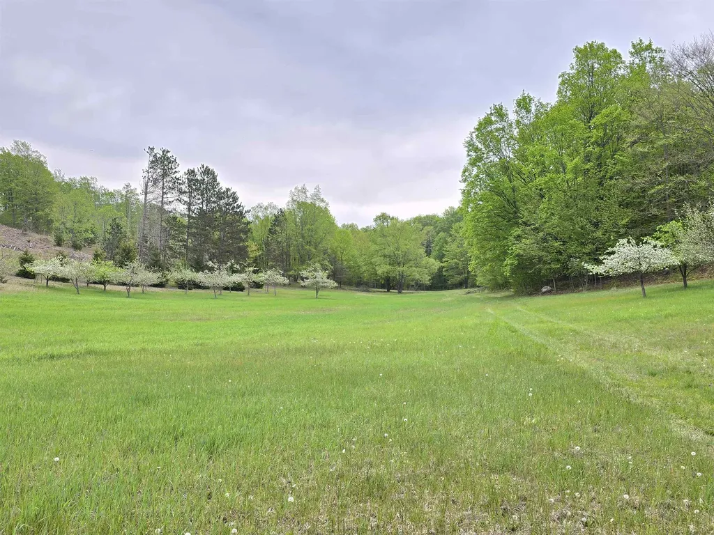 3300 Old M-37 Springville Township MI 49668