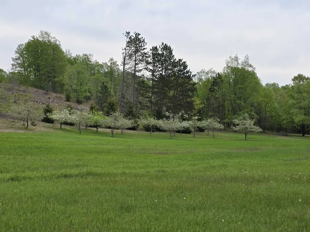 3300 Old M-37 Springville Township MI 49668