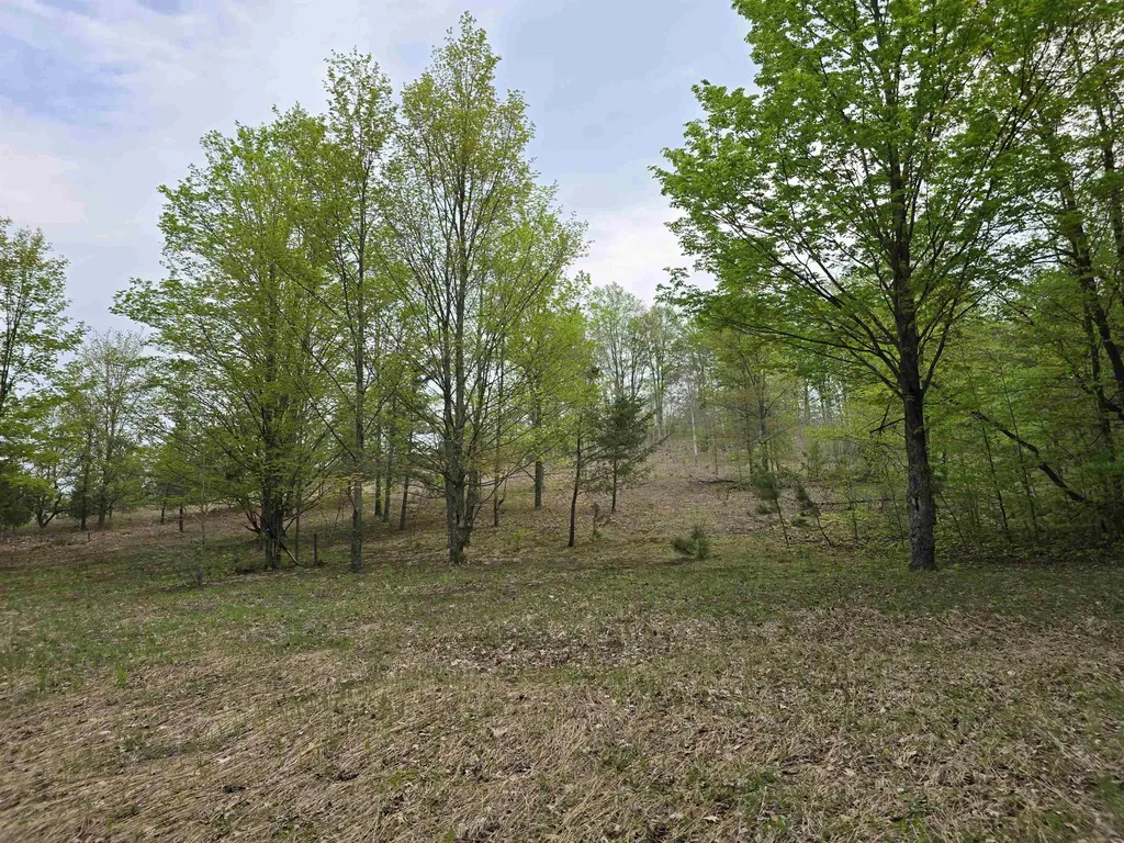 3300 Old M-37 Springville Township MI 49668
