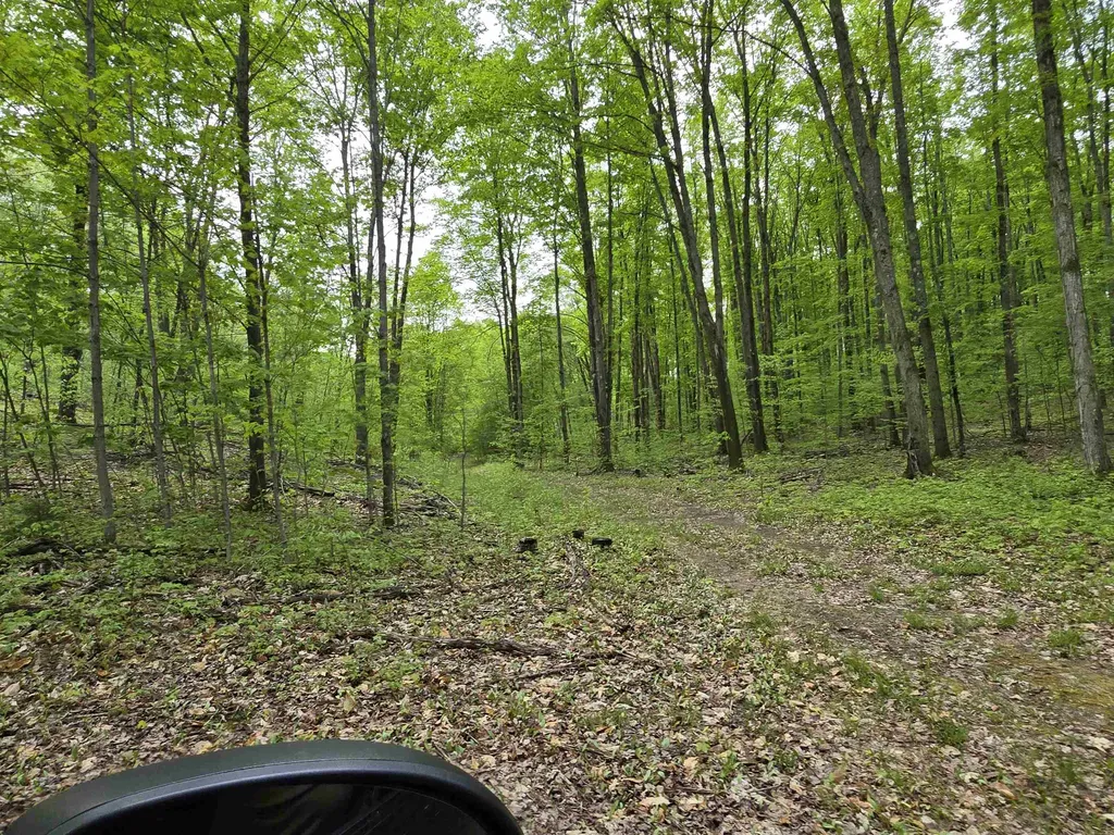 3300 Old M-37 Springville Township MI 49668