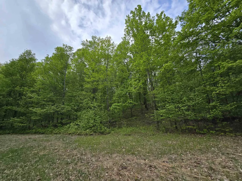 3300 Old M-37 Springville Township MI 49668