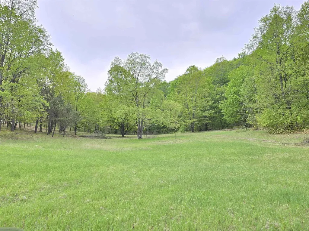 3300 Old M-37 Springville Township MI 49668