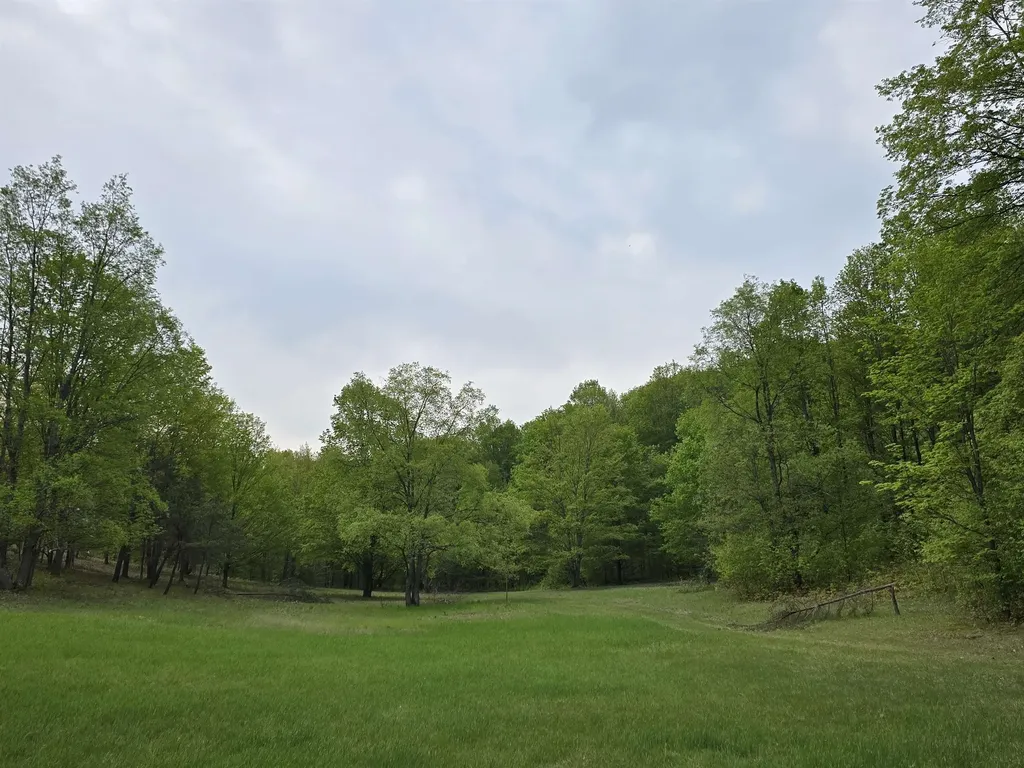 3300 Old M-37 Springville Township MI 49668