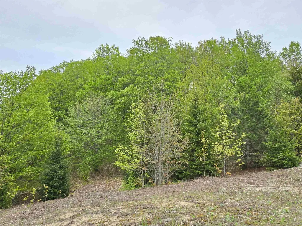 3300 Old M-37 Springville Township MI 49668