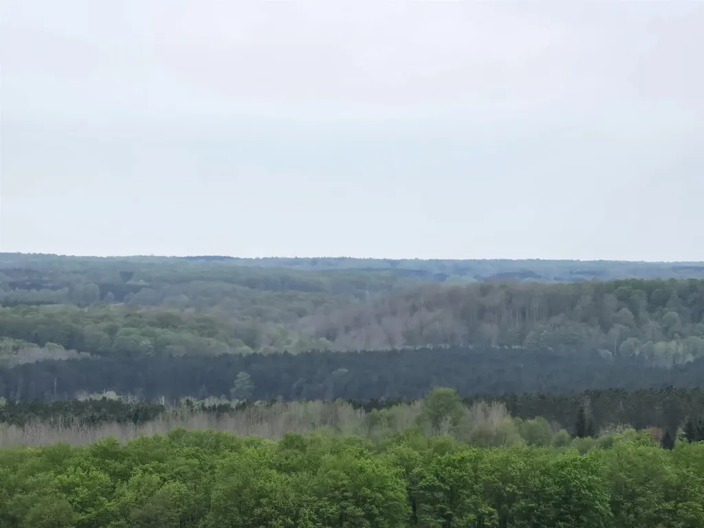 3300 Old M-37 Springville Township MI 49668