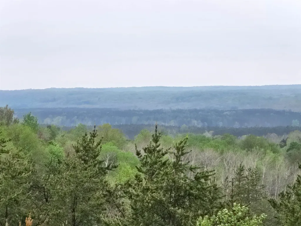 3300 Old M-37 Springville Township MI 49668
