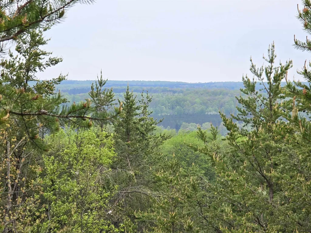 3300 Old M-37 Springville Township MI 49668