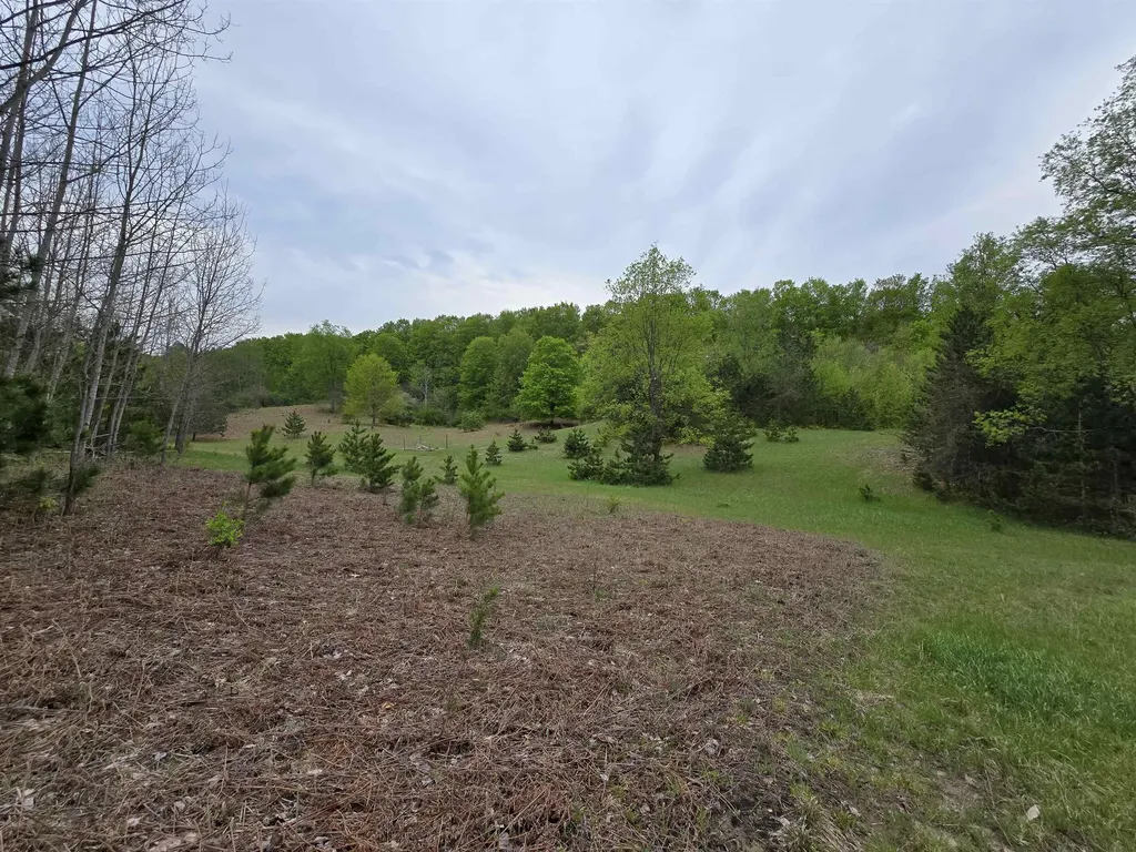 3300 Old M-37 Springville Township MI 49668