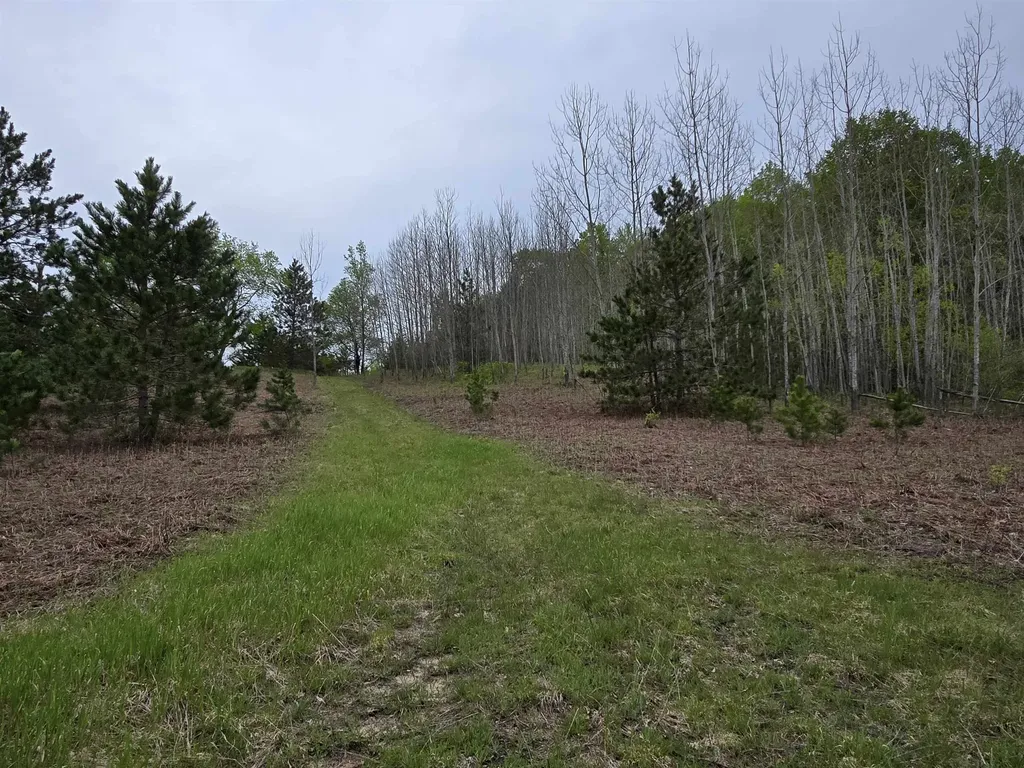3300 Old M-37 Springville Township MI 49668