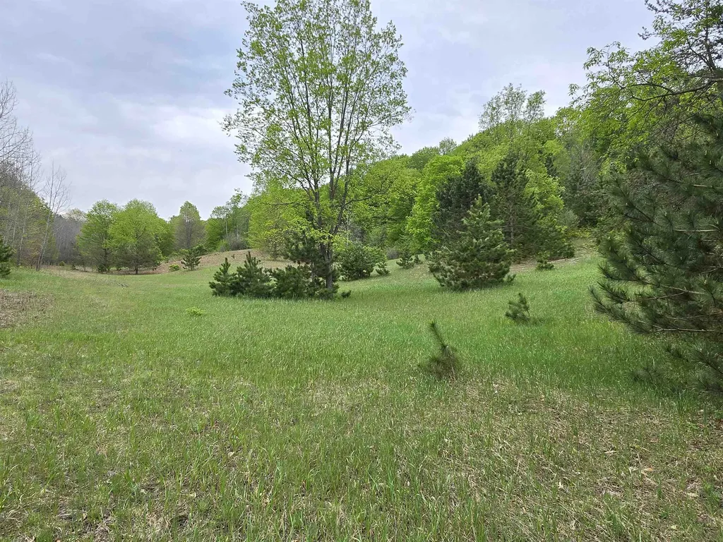 3300 Old M-37 Springville Township MI 49668
