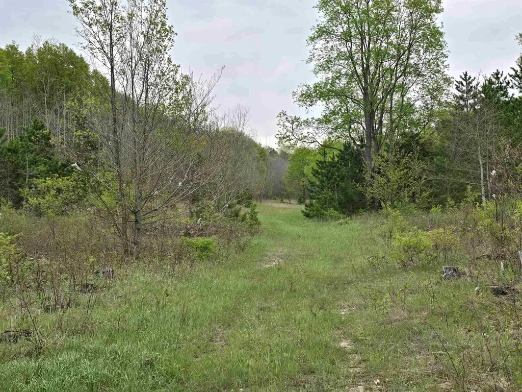3300 Old M-37 Springville Township MI 49668