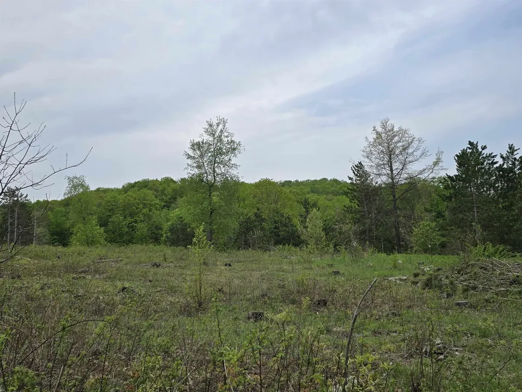 3300 Old M-37 Springville Township MI 49668