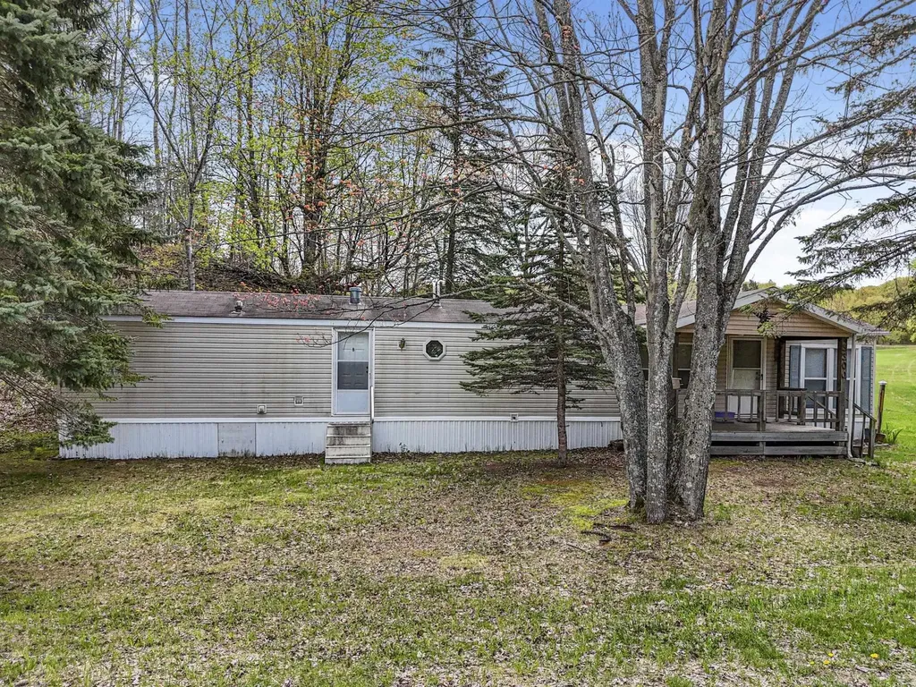 3300 Old M-37 Springville Township MI 49668
