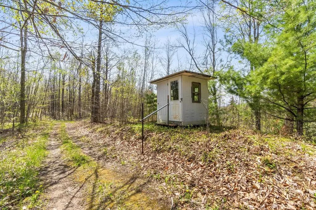 438 W Hill Road Elmer Township MI 49756