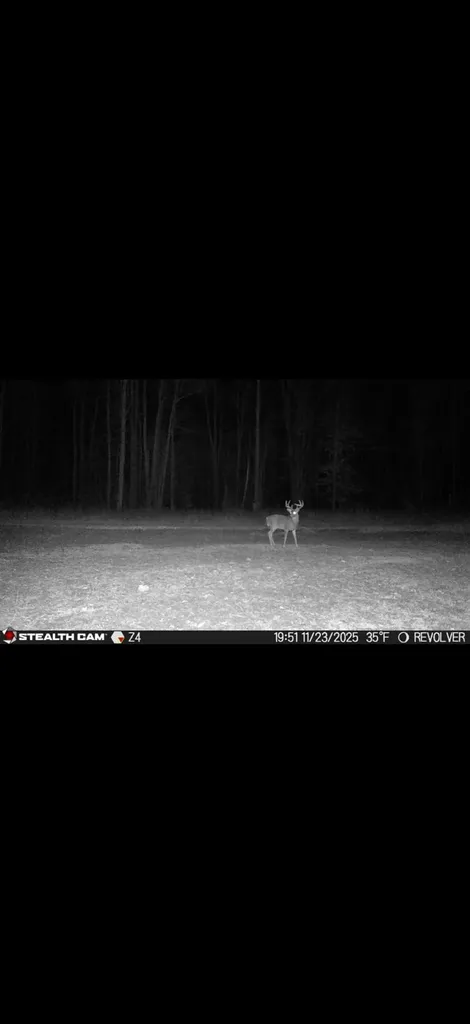 438 W Hill Road Elmer Township MI 49756