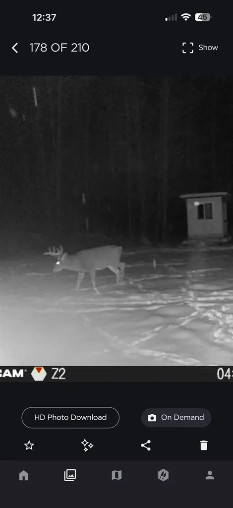 438 W Hill Road Elmer Township MI 49756