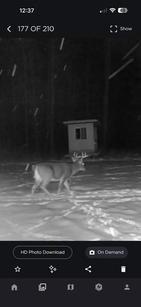 438 W Hill Road Elmer Township MI 49756