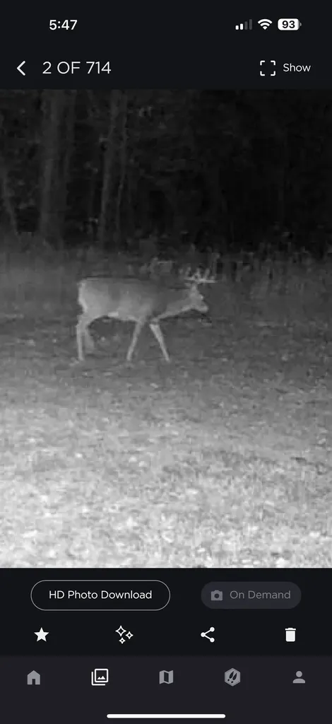 438 W Hill Road Elmer Township MI 49756