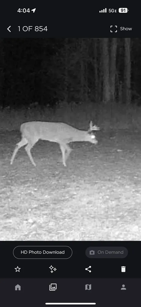 438 W Hill Road Elmer Township MI 49756