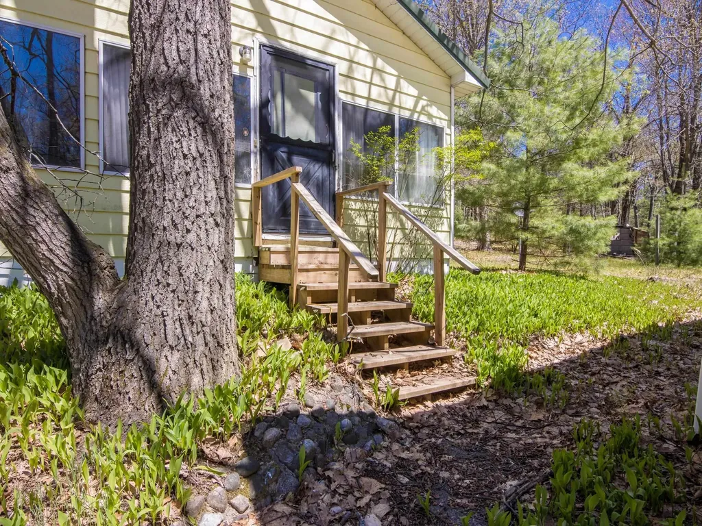 262 E Bear Lake Road NE Bear Lake Township MI 49646