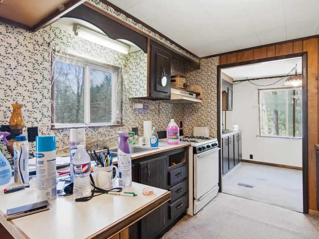 262 E Bear Lake Road NE Bear Lake Township MI 49646