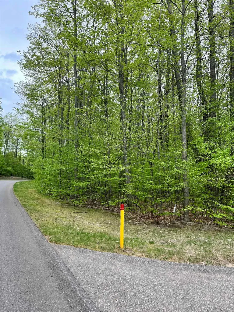 V/l 144 & 145 Troon South Custer Township MI 49615