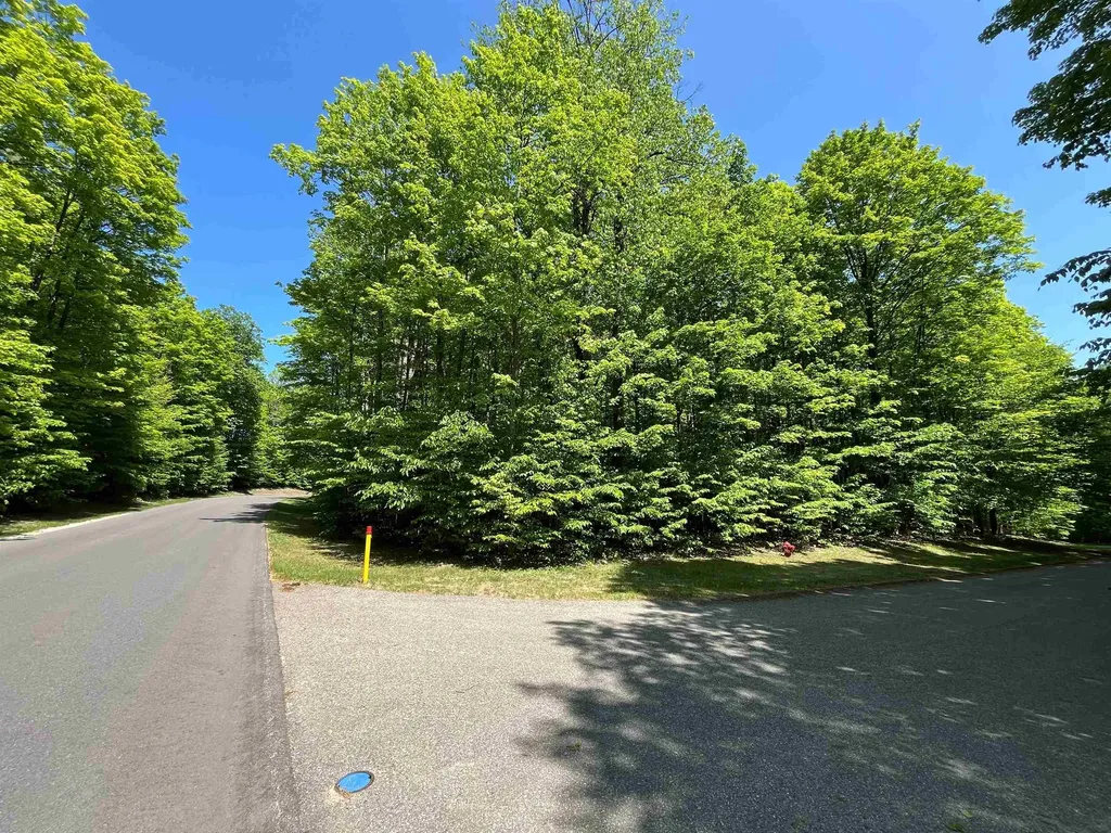 V/l 144 & 145 Troon South Custer Township MI 49615