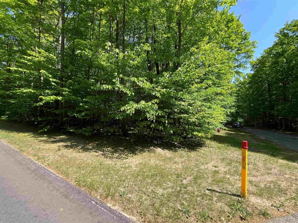 V/l 144 & 145 Troon South Custer Township MI 49615
