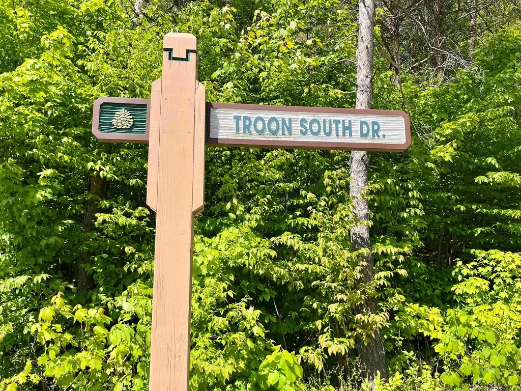 V/l 144 & 145 Troon South Custer Township MI 49615