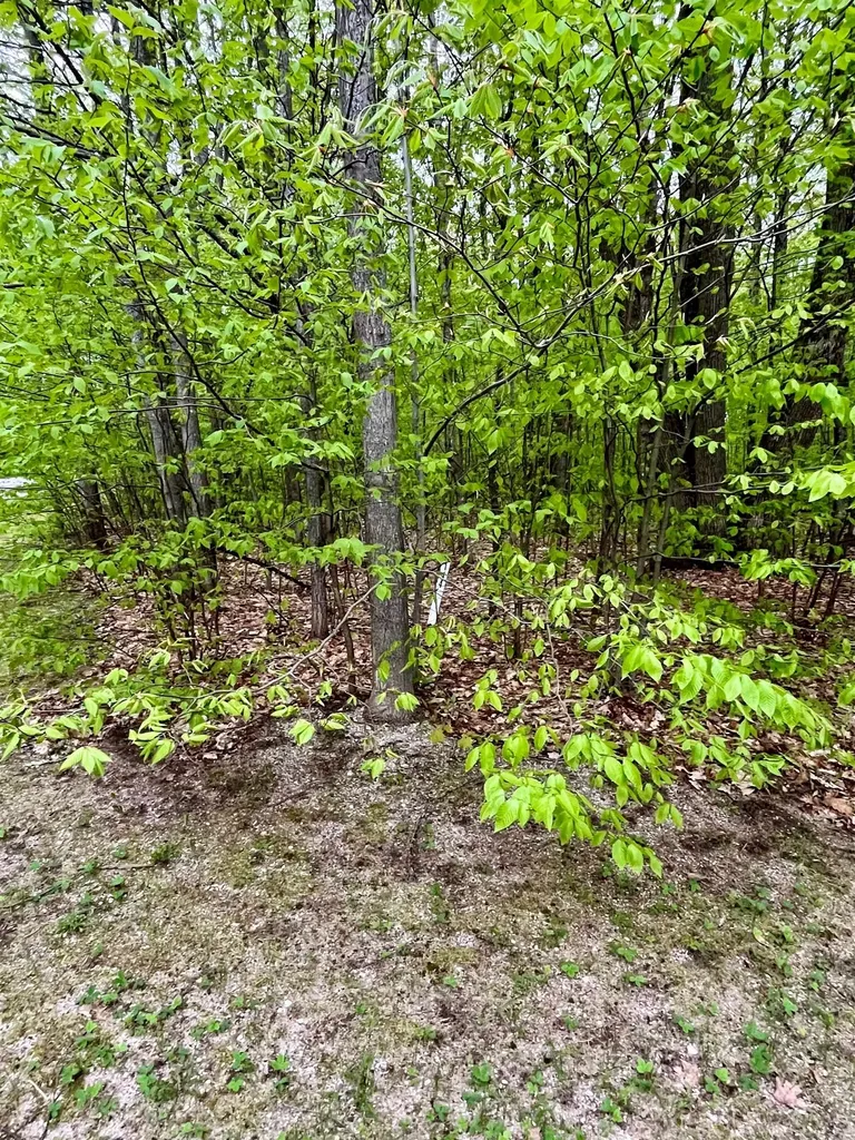 V/l 144 & 145 Troon South Custer Township MI 49615