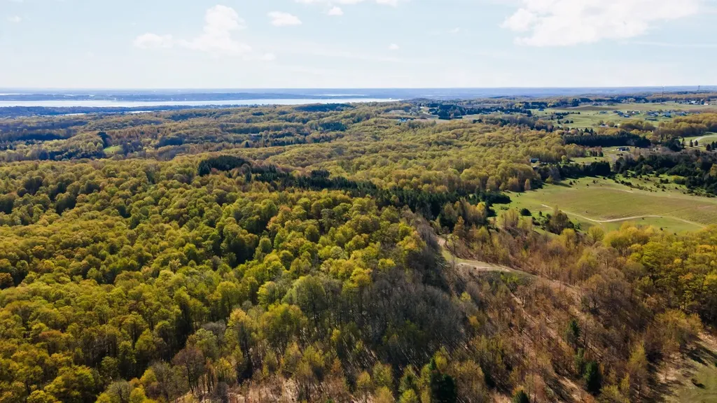 00 S Cottonwood Drive Elmwood Charter Township MI 49684