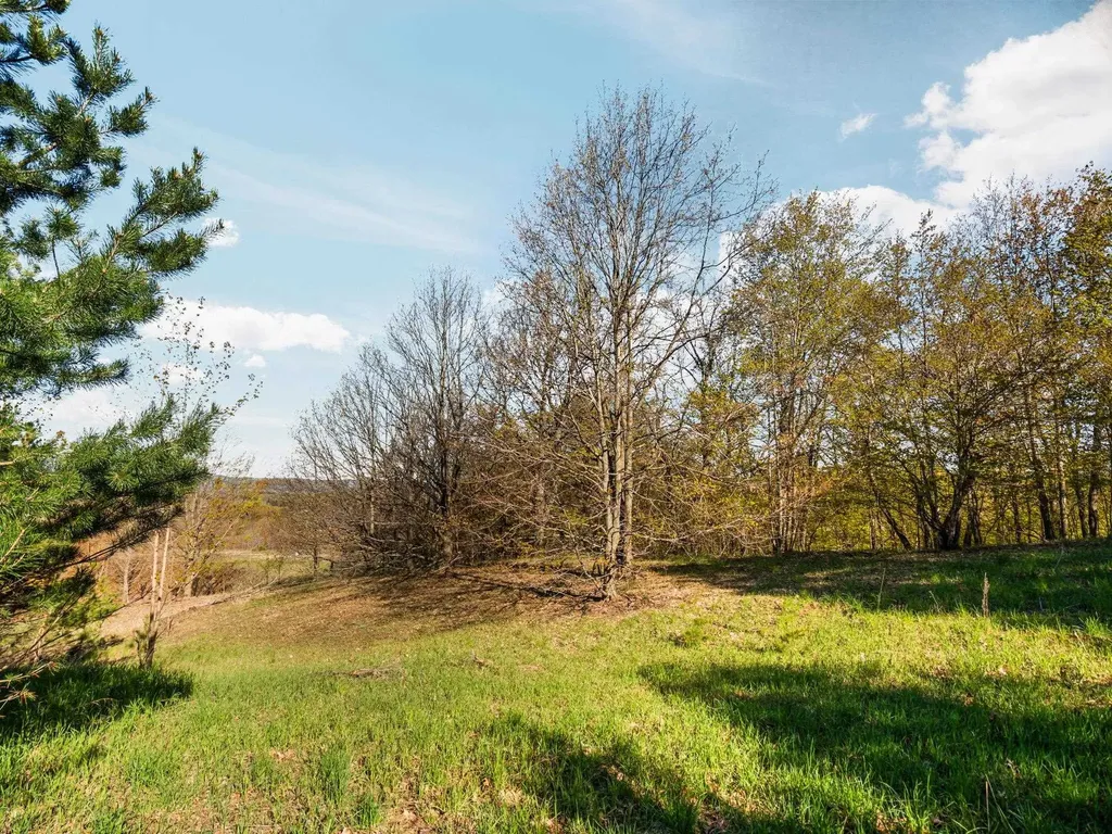 00 S Cottonwood Drive Elmwood Charter Township MI 49684