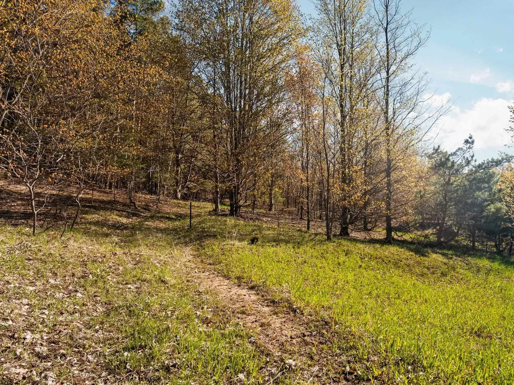 00 S Cottonwood Drive Elmwood Charter Township MI 49684