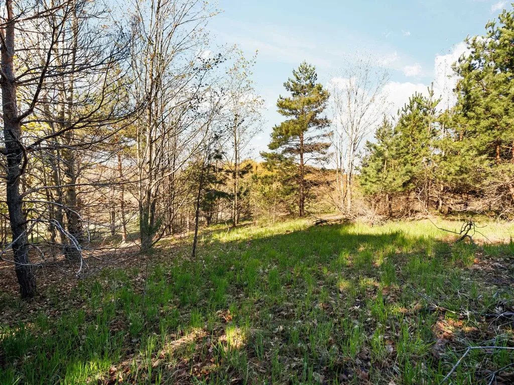 00 S Cottonwood Drive Elmwood Charter Township MI 49684