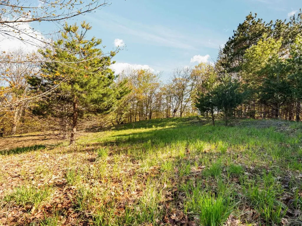 00 S Cottonwood Drive Elmwood Charter Township MI 49684