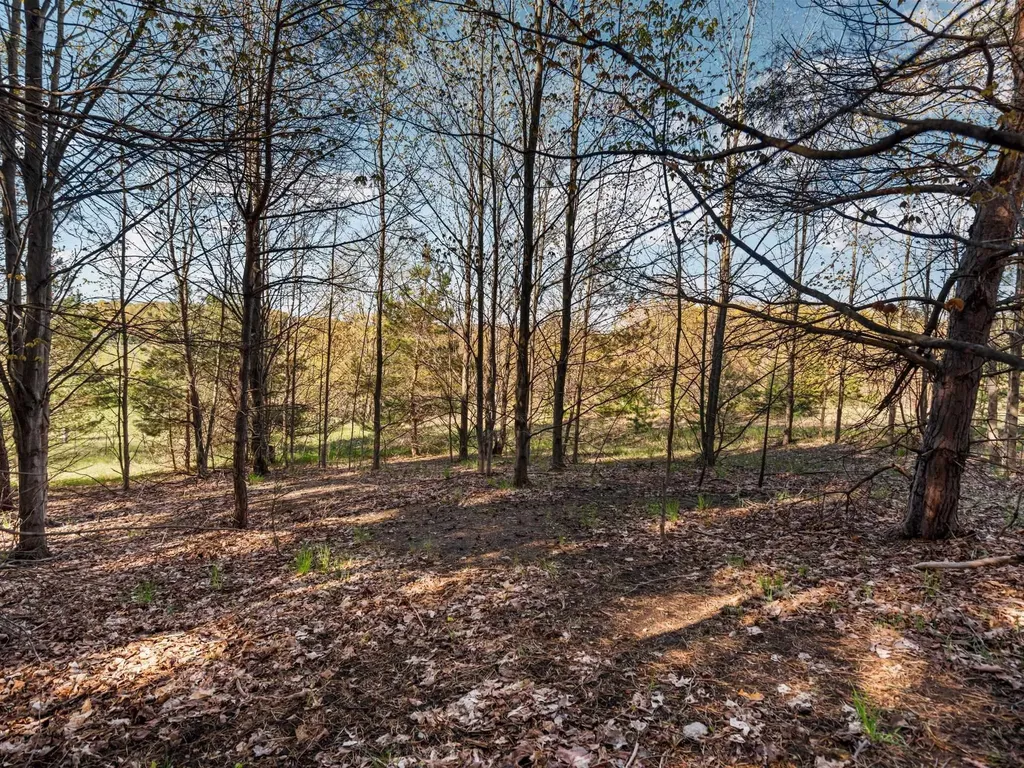 00 S Cottonwood Drive Elmwood Charter Township MI 49684